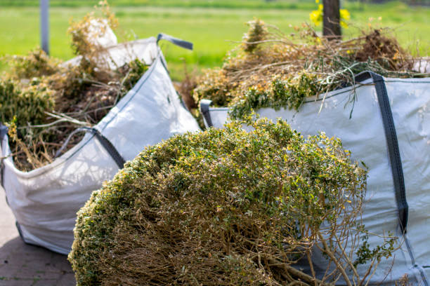 Best Dumpster Rental Services  in South Yarmouth, MA
